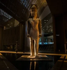 converted_image_50_percent_2